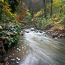 Autumnel flow 2