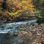 Autumnel flow 1