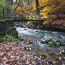 Autumnel flow 3