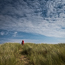 The Groyne, South Shields