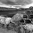 Lobster pots at Croig pier
