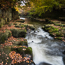 Autumn, along the border