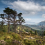 Ravens Crag view