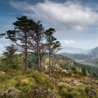 Cumbria